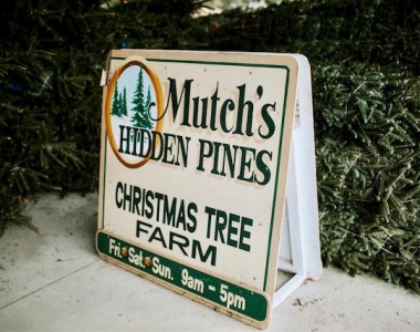 Mutch’s Hidden Pines